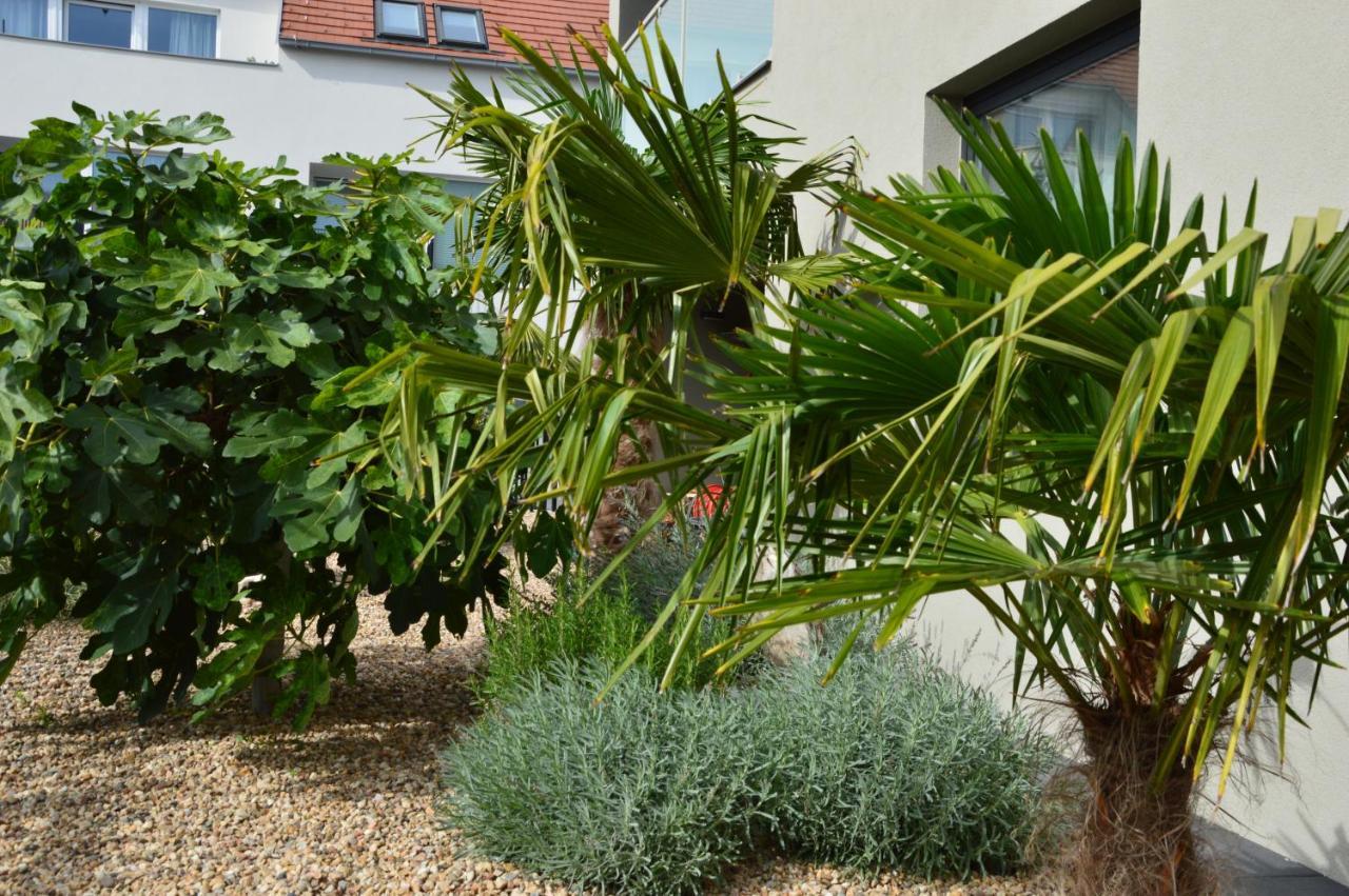 Palm Garden Apartment 1 Mikulov Exterior photo