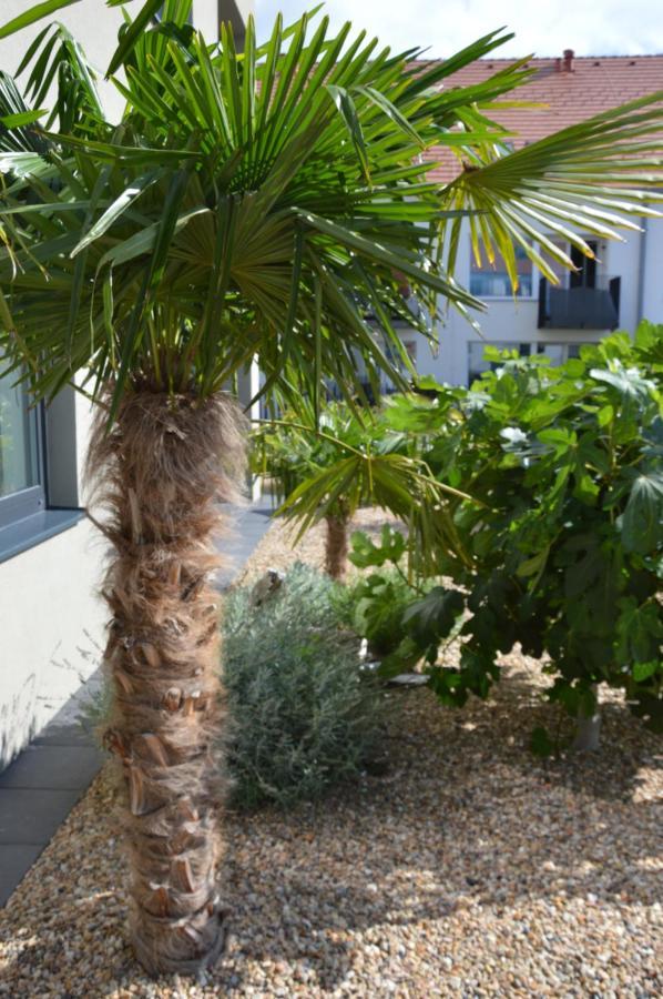 Palm Garden Apartment 1 Mikulov Exterior photo